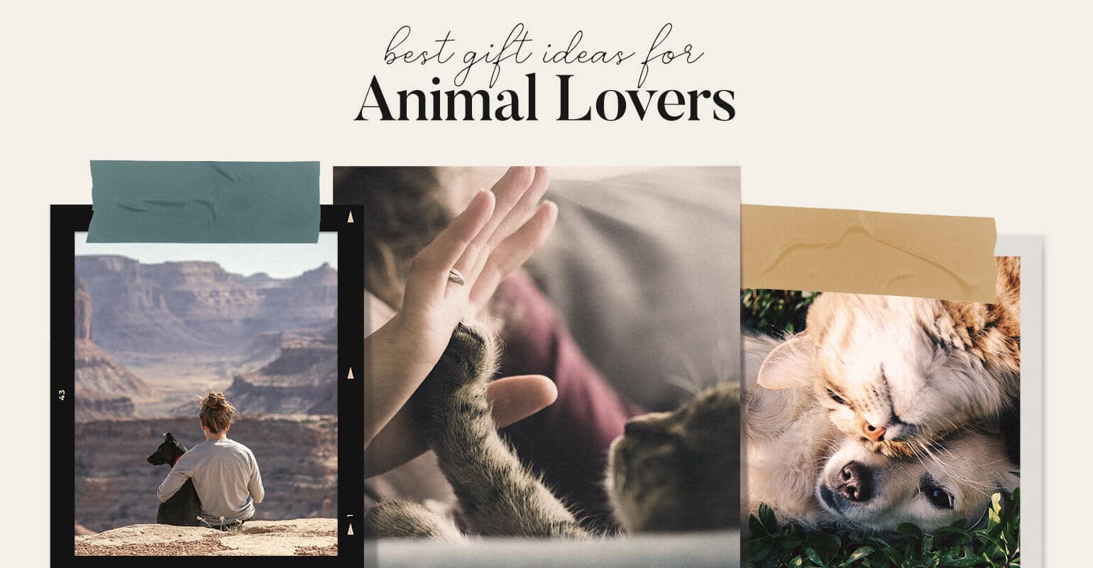 10 Fur-ociously Fun Gifts for Animal Lovers