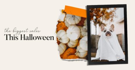 Best halloween deals and sales