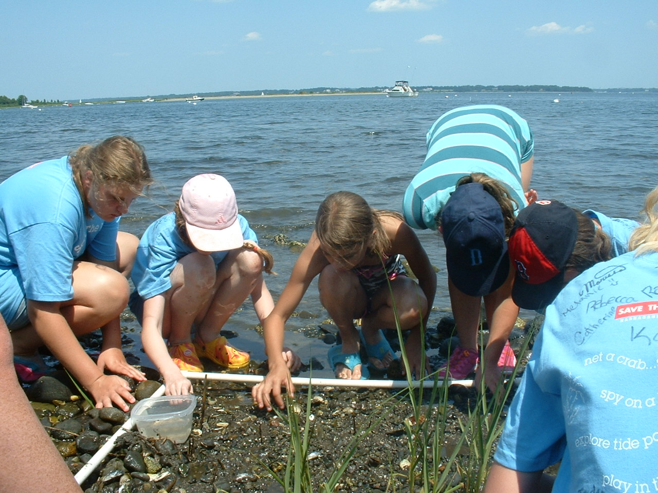 Donate now to Rhode Island Environmental Education Association