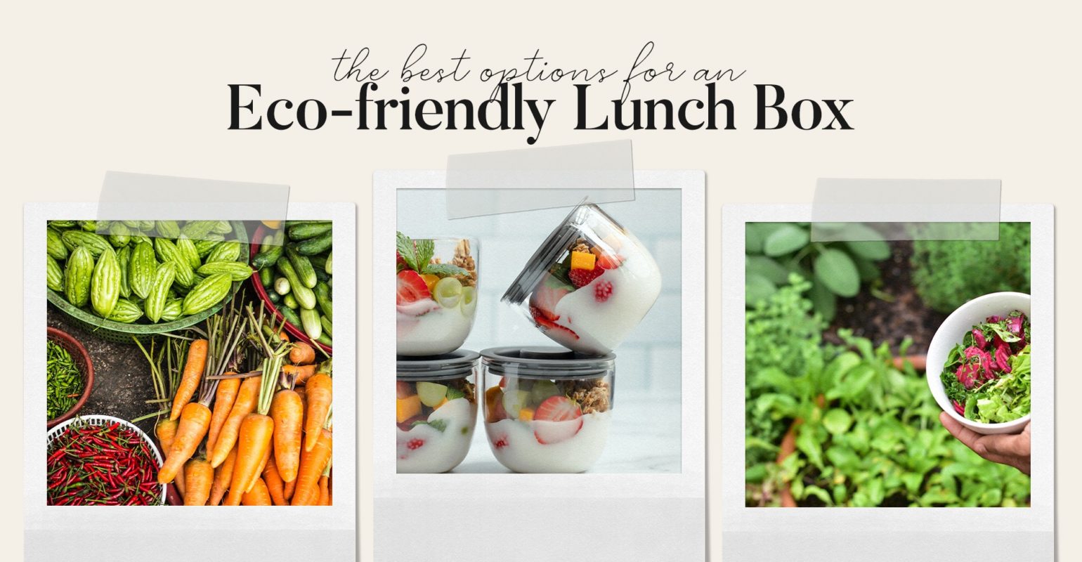 Best Eco-Friendly Lunch Box Review