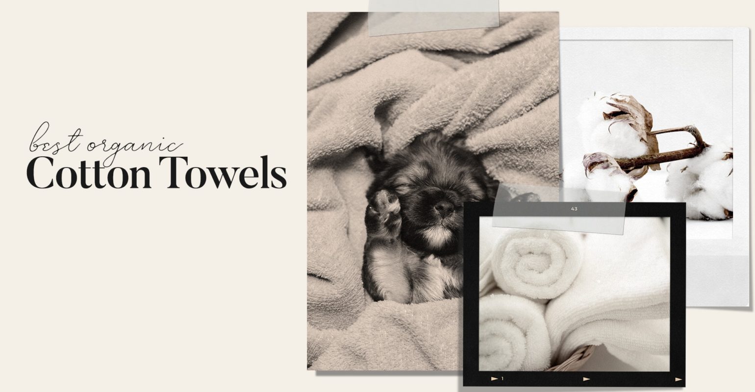 Best Organic Cotton Towels Review