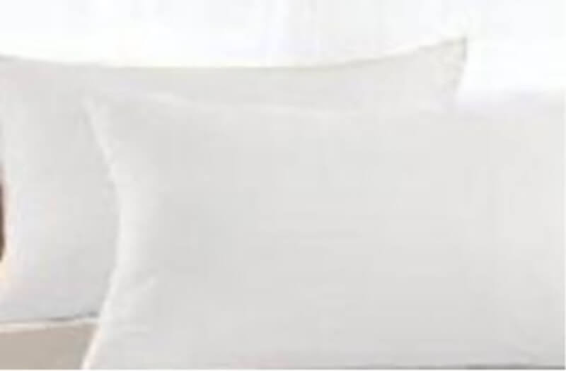 the 3 Plus International All Organic Cotton Pillow