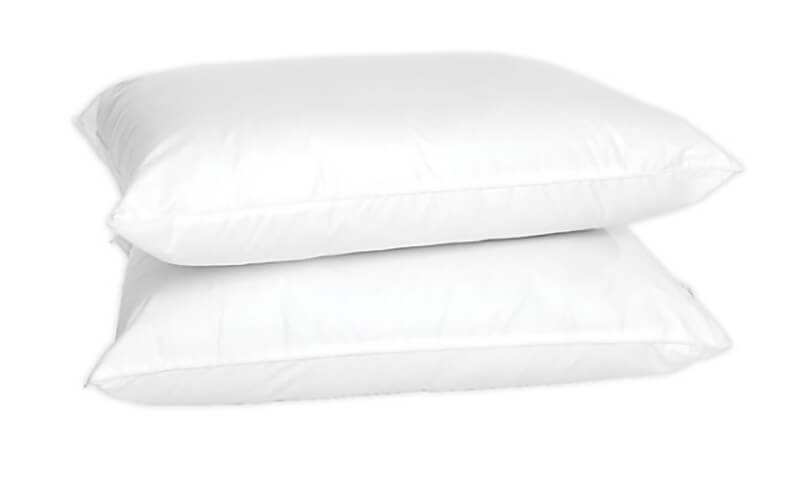 the 4earth 2-Pack Eco-Friendly Organic Cotton Standard Bed Pillows