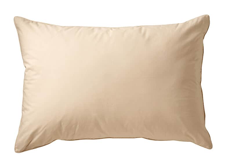 the Allerease Natural Organic Jumbo Pillow