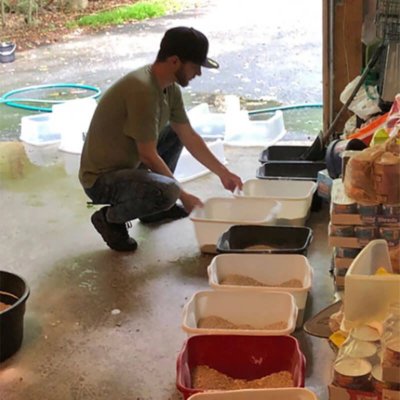 Volunteer guy preparing food for cats