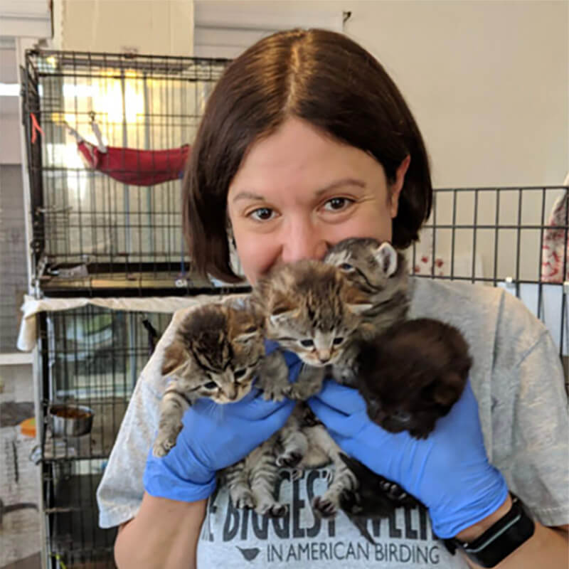 A volunteer woman holding kittens
