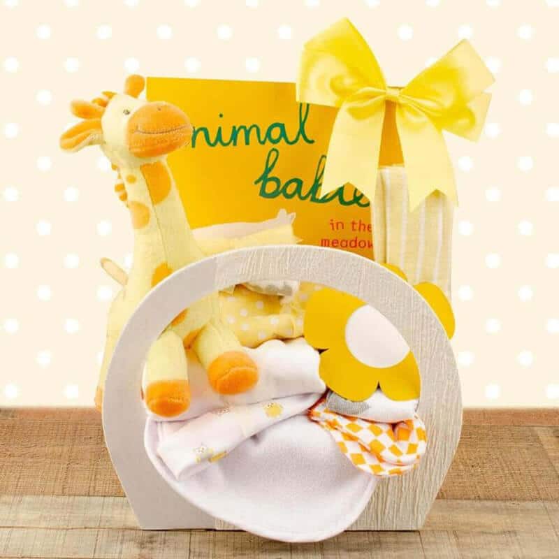 7 Adorable Baby Gift Baskets Guide Image 3