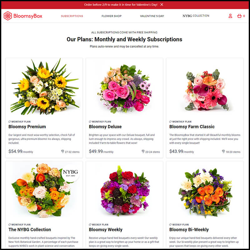 BloomsyBox home page