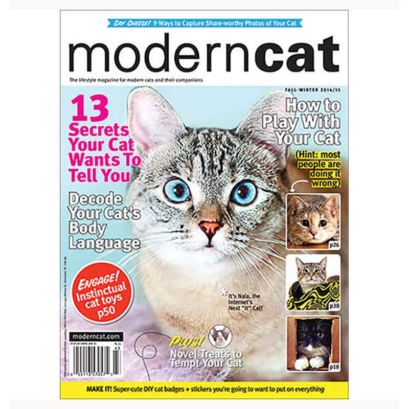 Modern cat magazine