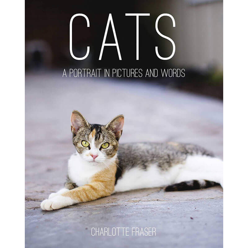 Hardcover book for cat lover