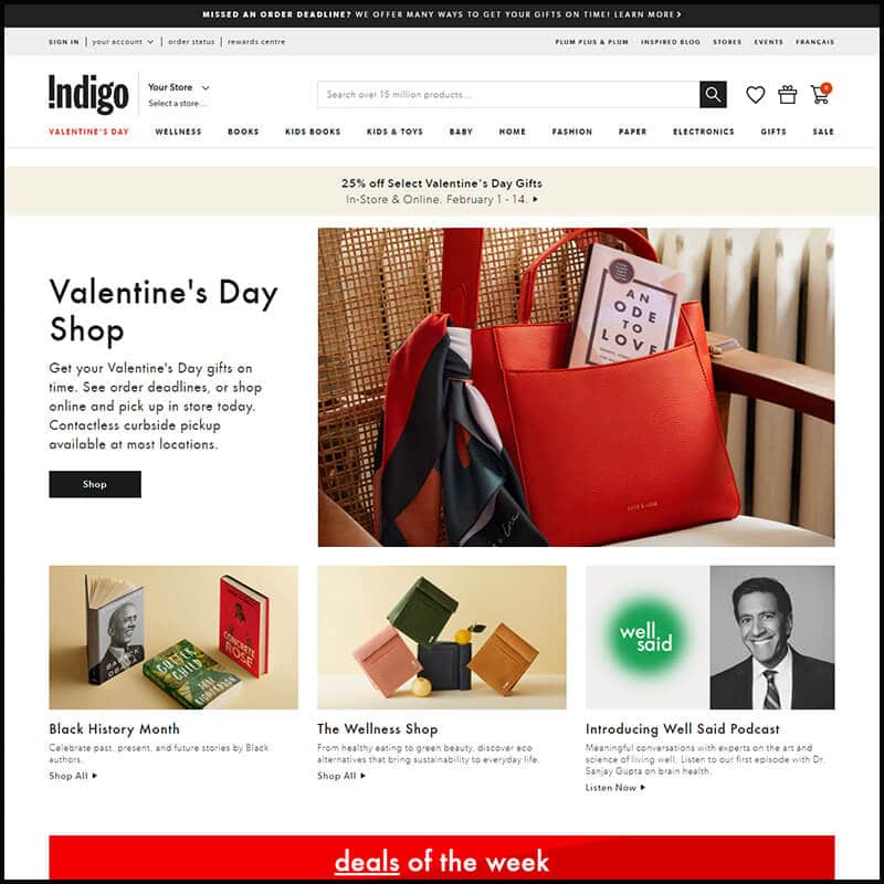 Chapters Indigo valentine's day shop page
