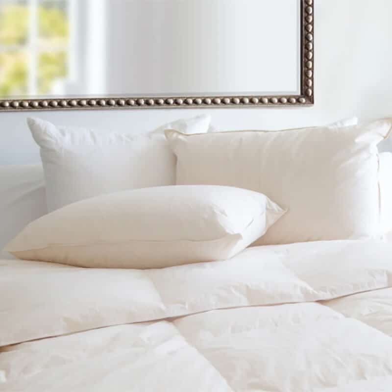 the Cozy Classics Unbleached Organic Jumbo Cotton Pillow