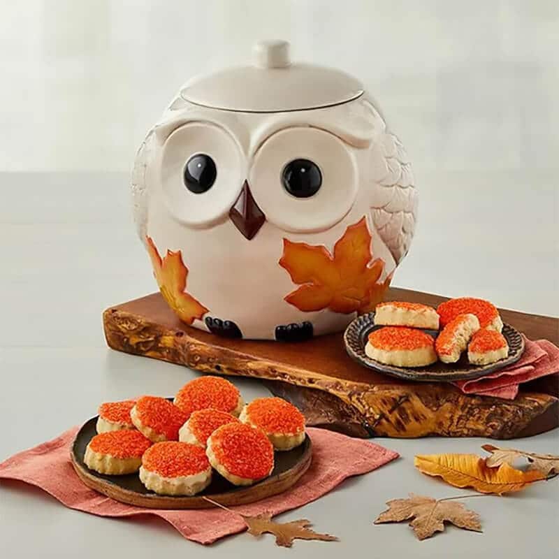  delightful owl-shaped ceramic cookie jar