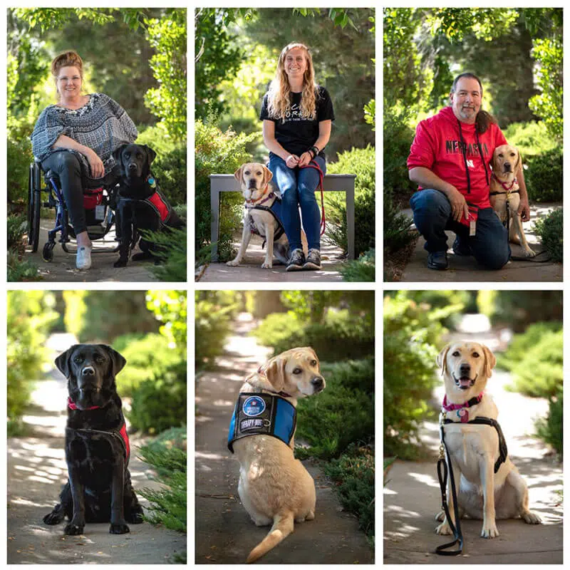 Freedom Service Dogs FSD Support