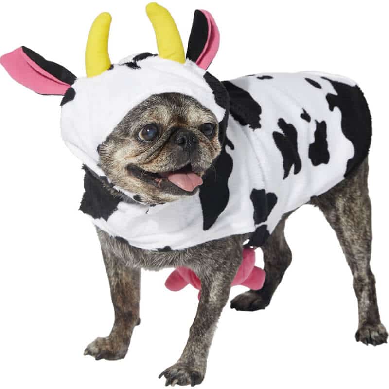 Pet Comfort dog and cat costume