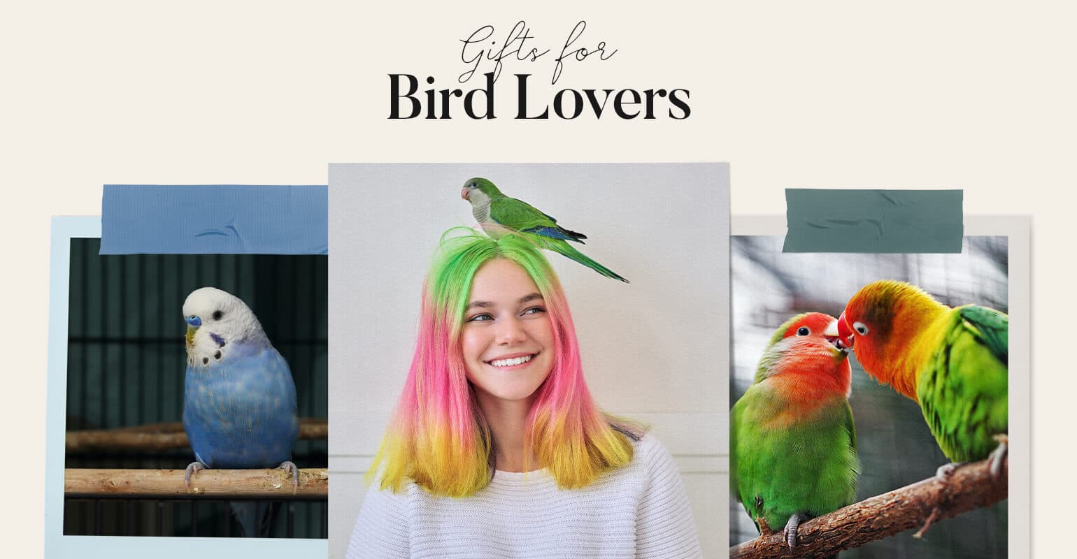 Best Gifts for Bird Lovers