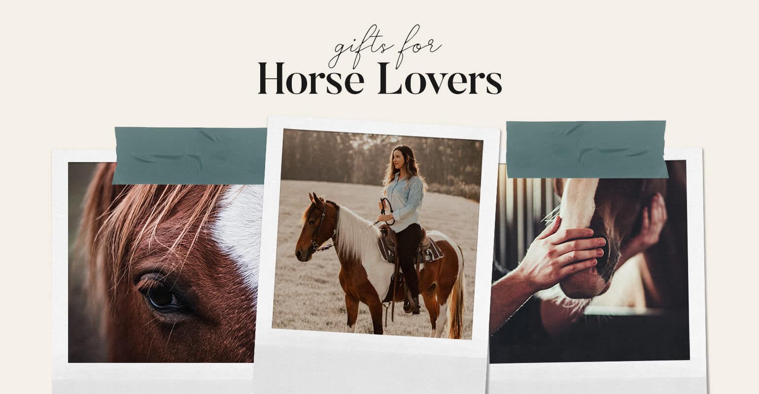 10 Blue Ribbon Gifts for Horse Lovers and Equestrians