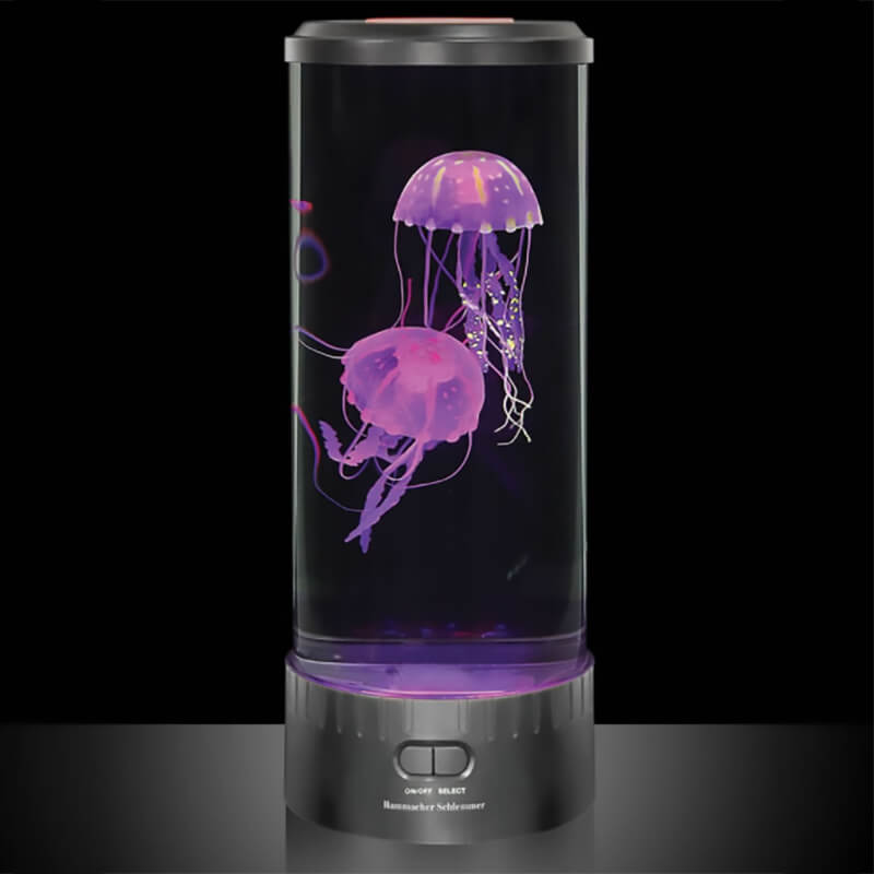 LED-lighted desktop aquarium