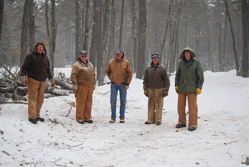 Five volunteers in Main forest and logging museum