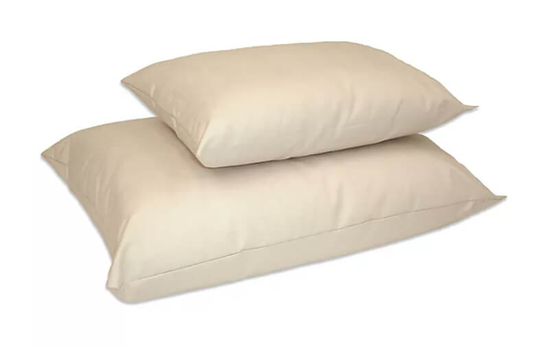 The Naturepedic Organic Cotton Pillow