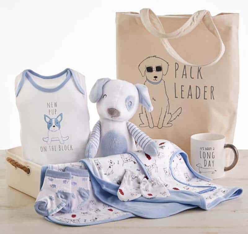 7 Adorable Baby Gift Baskets Guide Image 5
