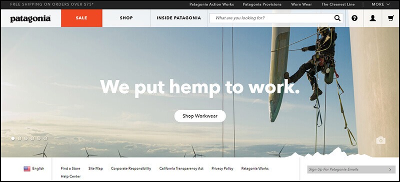 Screenshot of Patagonia site