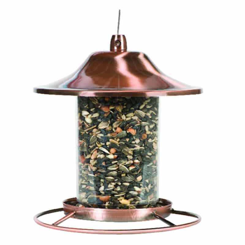 particular bird feeder