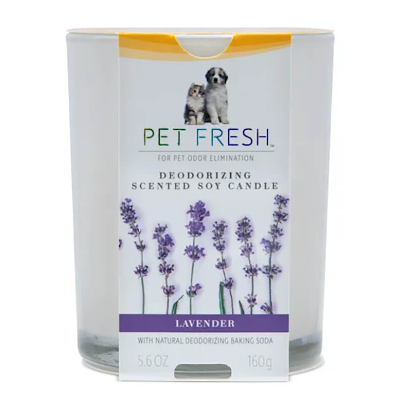 Pet fresh deodorizing scented soy candle