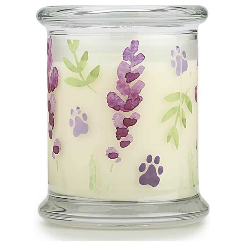 Particular Soy Candle