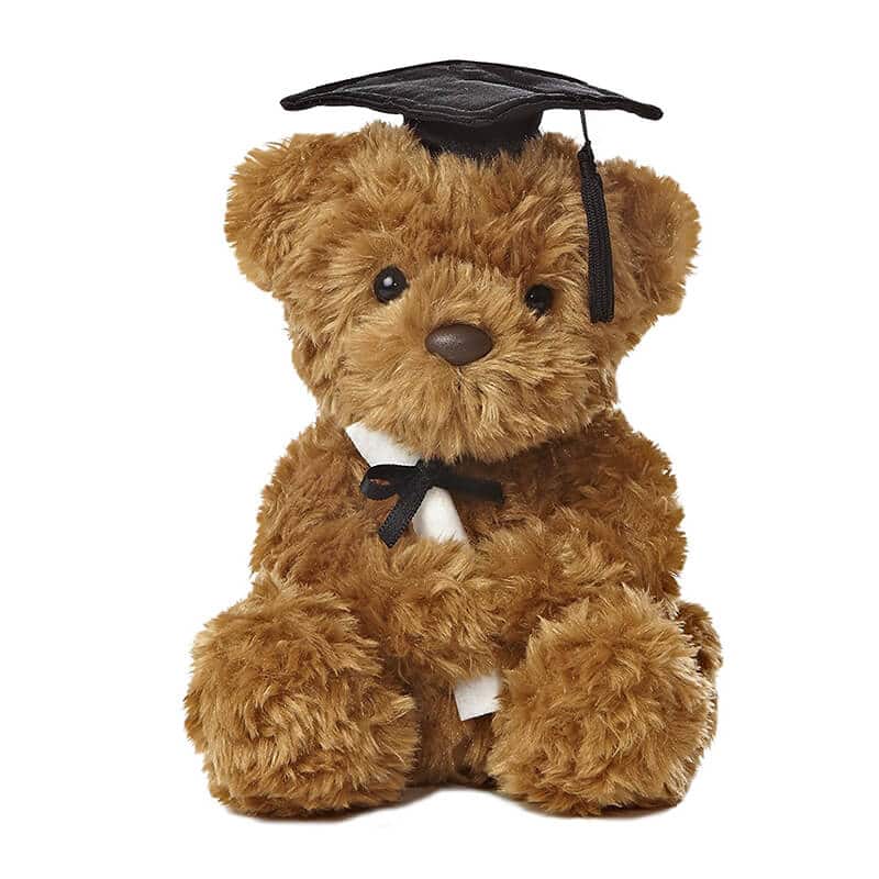 Plush Bear Graduation