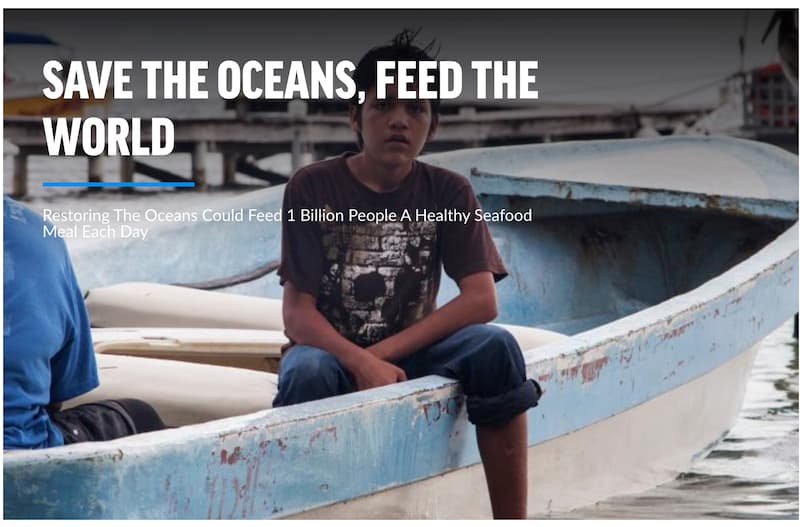 Oceana: Nonprofit Spotlight Image 2