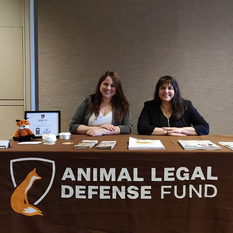 Nonprofit The Animal Legal Defense Fund