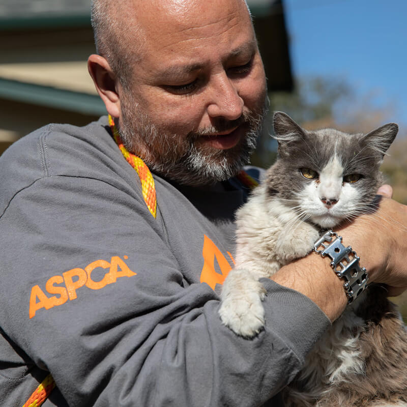 The American Society for the Prevention of Cruelty to Animal man holding cat