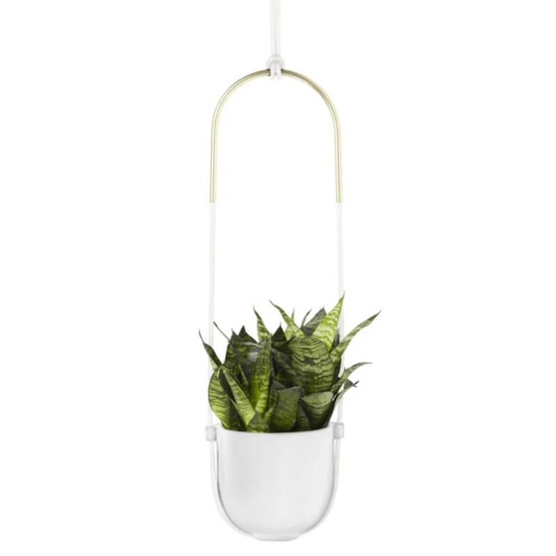 Umbra Bolo Planter