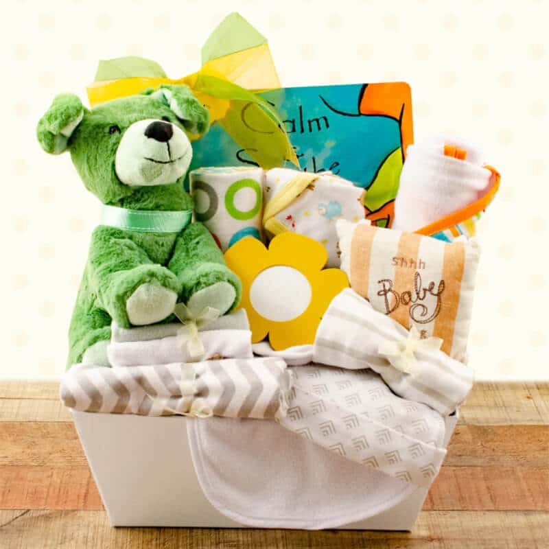 7 Adorable Baby Gift Baskets Guide Image 2