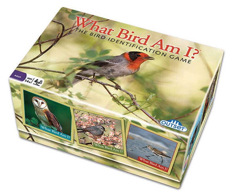 3 Decks of 100 cards about Birds