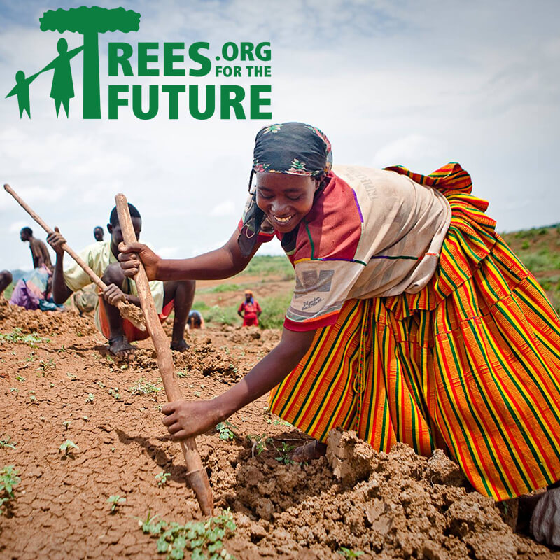 Trees for the Future Planting