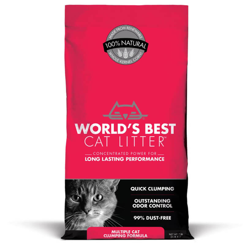 Best Eco-Friendly Cat Litter Review Image 4